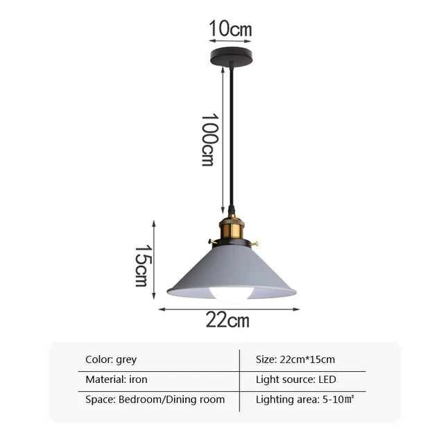 22cm Colourful Iron LED Pendant / Have Light Source / 22cm Blue