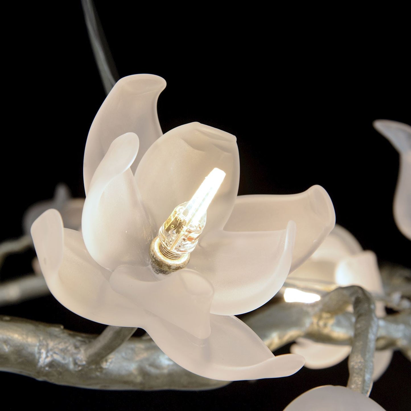 Bronze Magnolia 12-Light Halo Chandelier